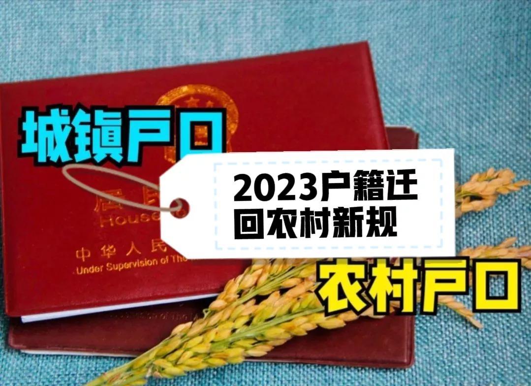 2023户籍新规“城转乡”，这些情况可迁回，享受农村各种福利-户籍改革给农民多少钱