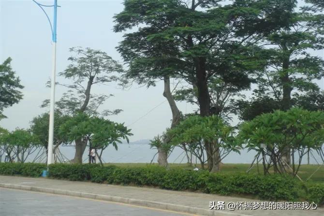 一万块钱炒股，股市中成长（三）#股市##短线#-网上买一万元股票手续费多少