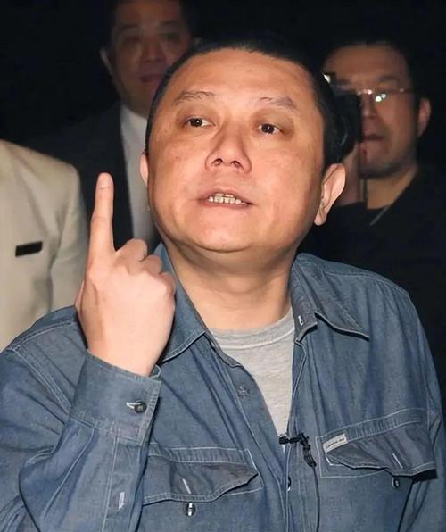 N次复出，N加1次失败，文章难以复出的背后，到底是谁在把控？-李连杰为何退出壹基金