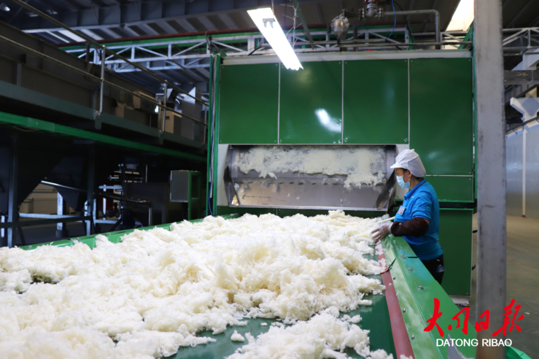 2022年省级“专精特新”中小企业名单出炉，大同37家企业入选-大同水泥集团公司