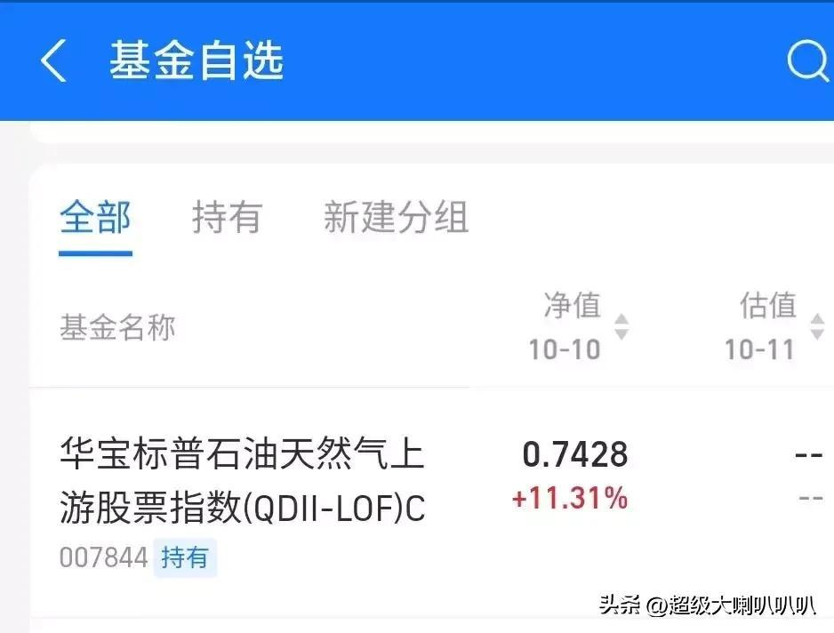 QDII基金假期有收益吗？-基金节假日有收益吗