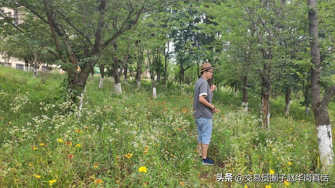 一个交易者持续盈利三年，却说自己遇到了瓶颈，原来问题出在这里-交易员每月都盈利多少