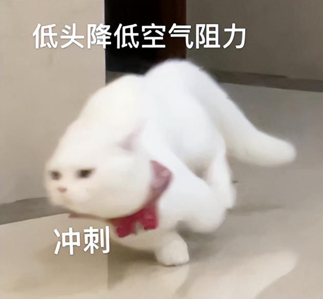 2023届查分的高考生，一半稳如泰山，一半猴子出山-百度钱包许愿中的几率是多少