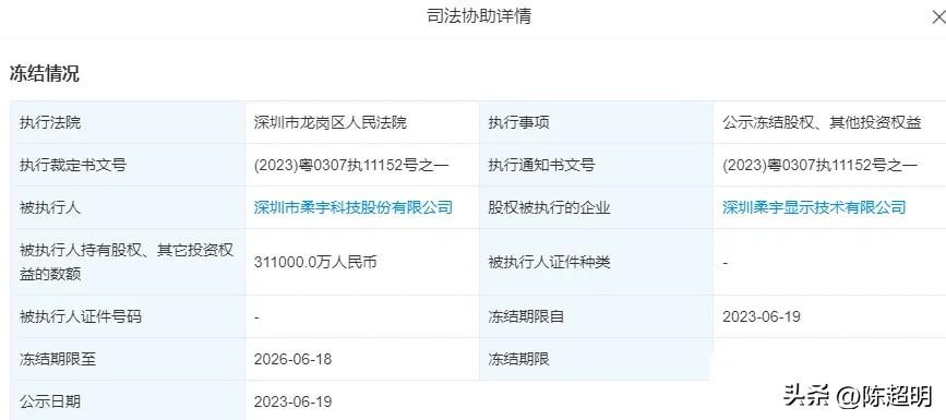 31億股權被凍結，創始人成“老賴”，柔宇科技睏境何解？-柔宇科技股票資訊搜索