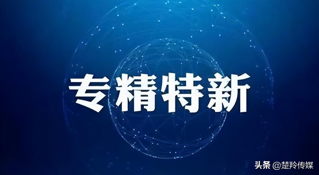 专精特新：襄阳“小巨人”企业领跑科技创新新赛道-湖北新火炬科技有限公司
