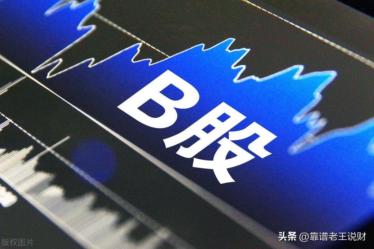 什么是B股？B股有没有什么优势？-b股有多少个