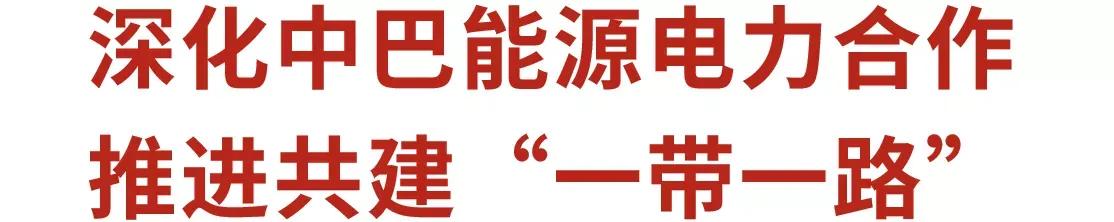 巴基斯坦总理夏巴兹与中国国家电网公司董事长辛保安举行视频会见-福建南电股份有限公司董事长