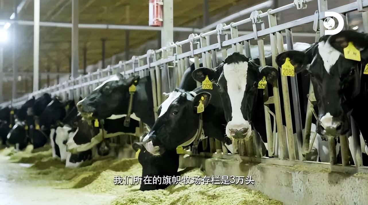 被卡脖子的不只科技行业，疏堵成为中国企业的共同课题特别策划-每年中国企业有多少课题提出