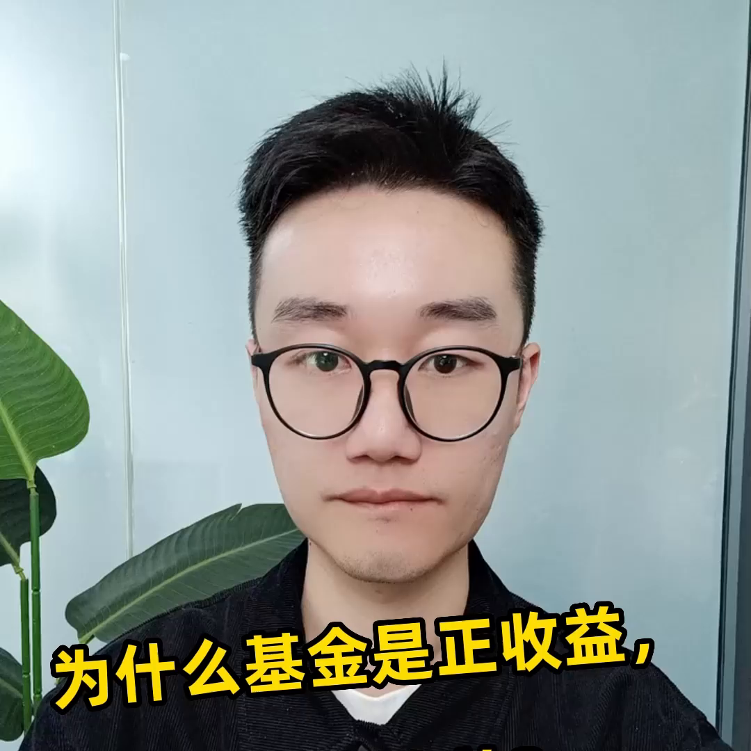 为什么基金是正收益，我是负收益？-基金反应的是什么关系