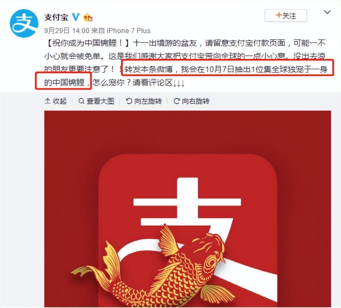 被马云砸中的锦鲤女孩，支付宝中奖1个亿，后来怎么样了？-今年的支付宝年终奖金是多少