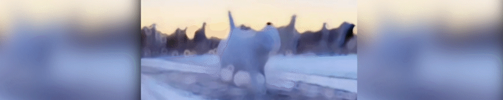 “美女CEO”林晓芸，23岁继承10亿资产，如今掌管8700亿金融帝国-九富财经公关公司