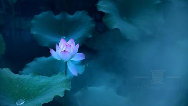 巴芒怎样选择、研究和看待一家企业？(精选篇之给公司估值)-股票总市值多少是好