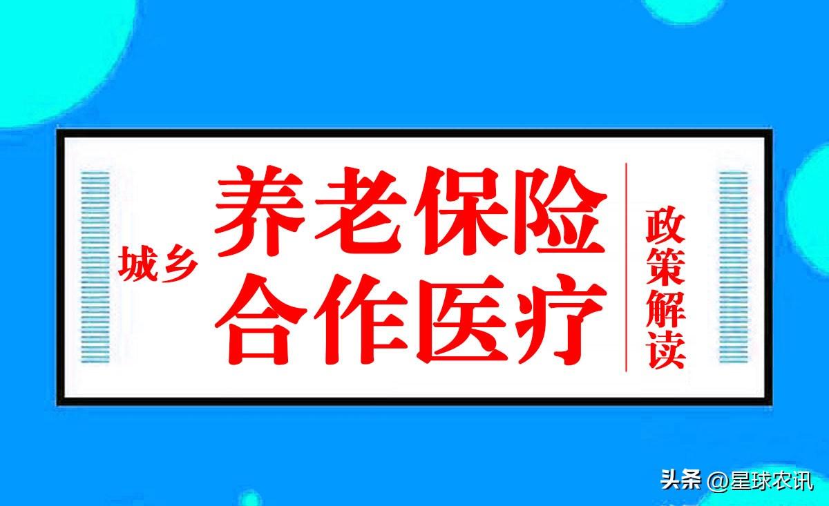 2022年城乡居民养老保险和2023年新农合缴费及政策知识，这里都有-残疾人养老保险每月多少钱