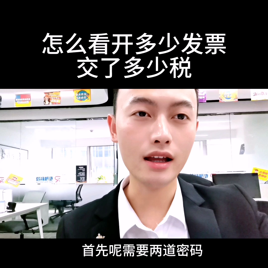 如何知道自己开了多少发票，给国家交了多少税#发票-买增值税发票多少钱