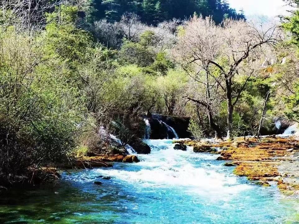 认识货币市场基金-货币基金门槛