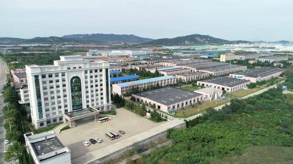 山东威达加速智能数字化工厂改造，扩充铝压铸等精密零部件产能-苏州德迈科电气有限公司