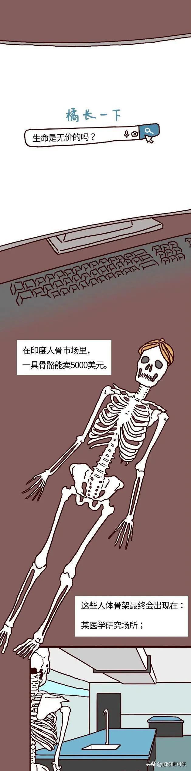 【推荐】假如把全身器官卖到黑市，到底能值多少钱？漫画科普-心脏能卖多少钱