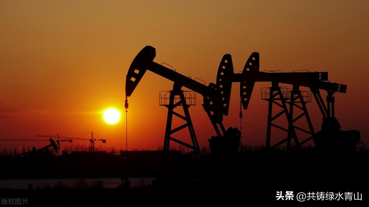 山东23家民营石油化工医药企业，上2022年中国民营企业500强榜单-山东省石油化工股份有限公司
