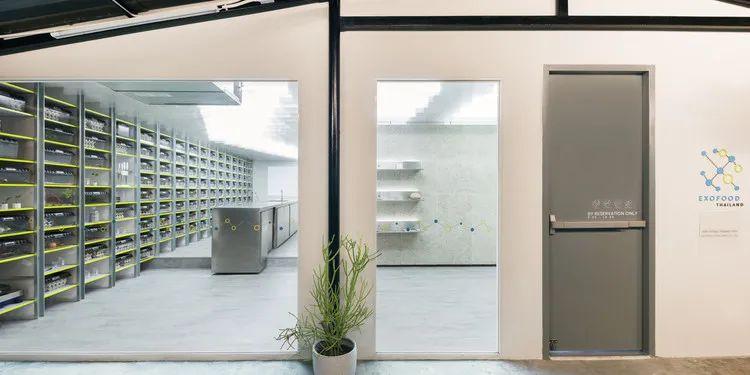 餐饮空间设计：昆虫食物零售店-exo昆虫食品公司
