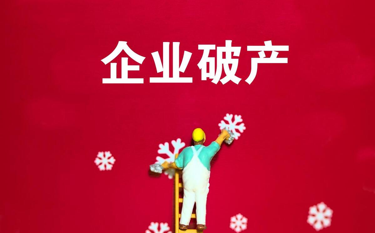 【推荐】公司破产财产的范围如何确定有限责任公司的收入算资产吗