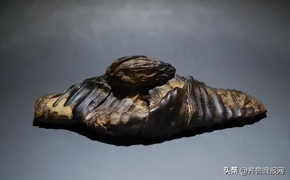 8万美金一克“木中钻石”，一块木抵十辆豪车，奇楠究竟贵在哪-普通钻石多少钱一克