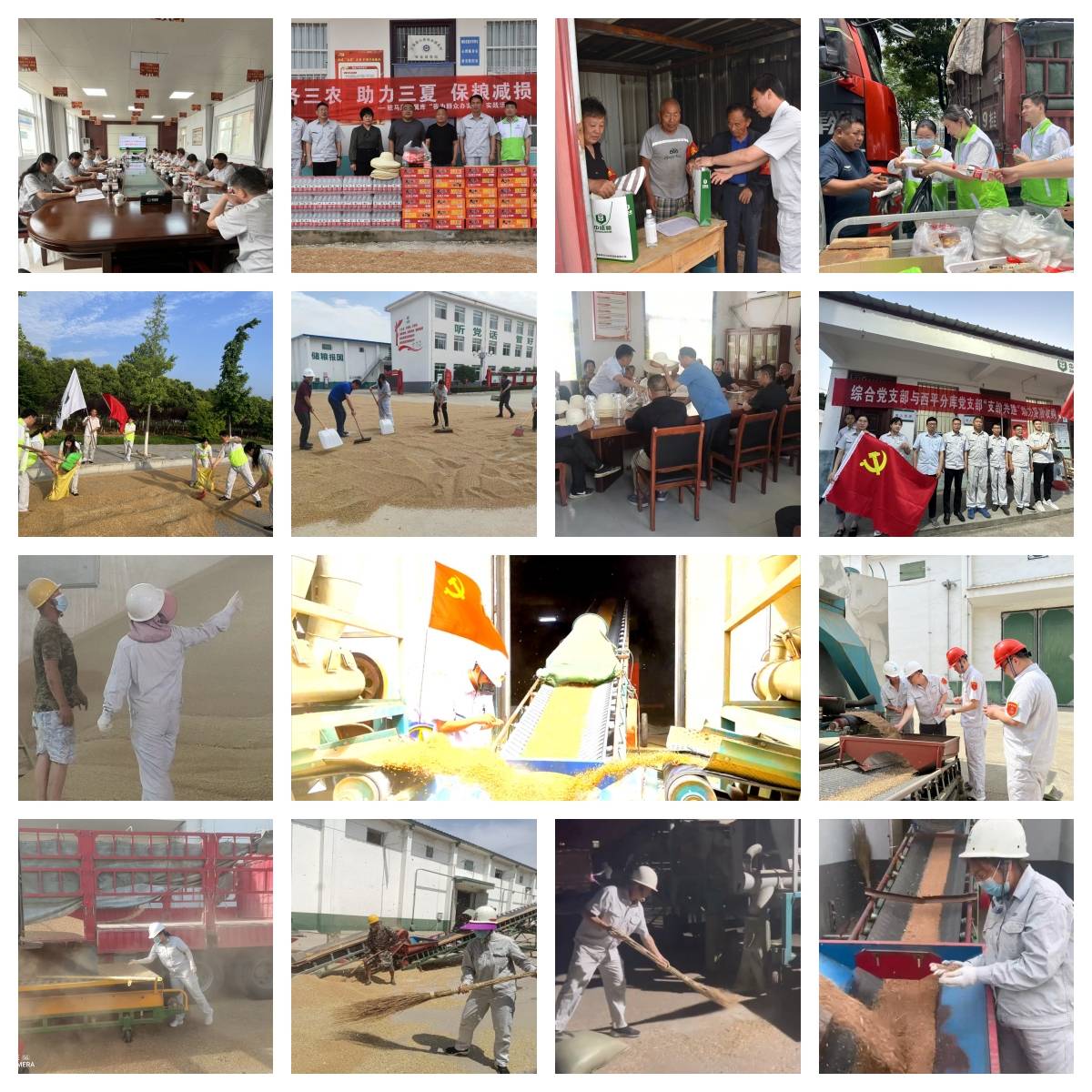 中储粮驻马店直属库圆满打赢2023年夏粮收购攻坚战-中储粮河南分公司