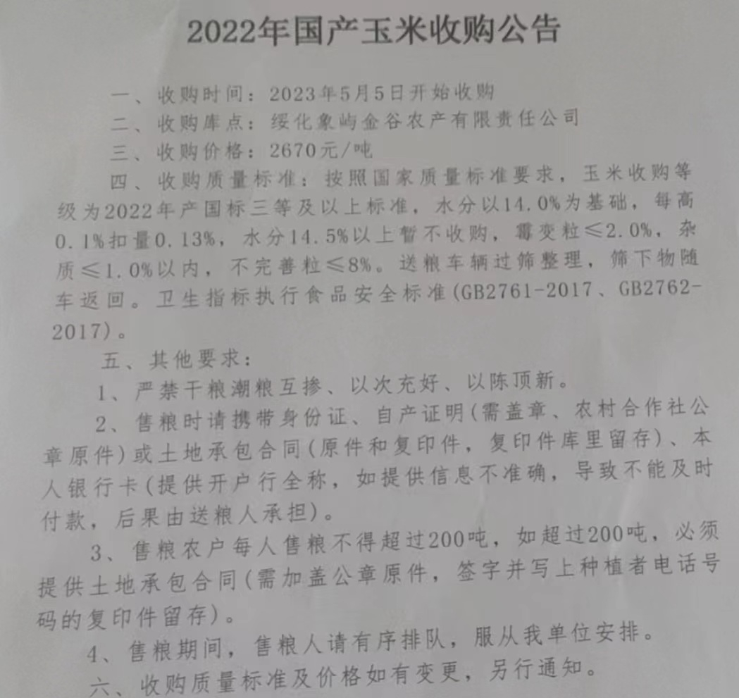 2023.5.5黑龙江一地国储玉米今日开收，是冲击市场还是昙花一现？-国储玉米多少钱一斤