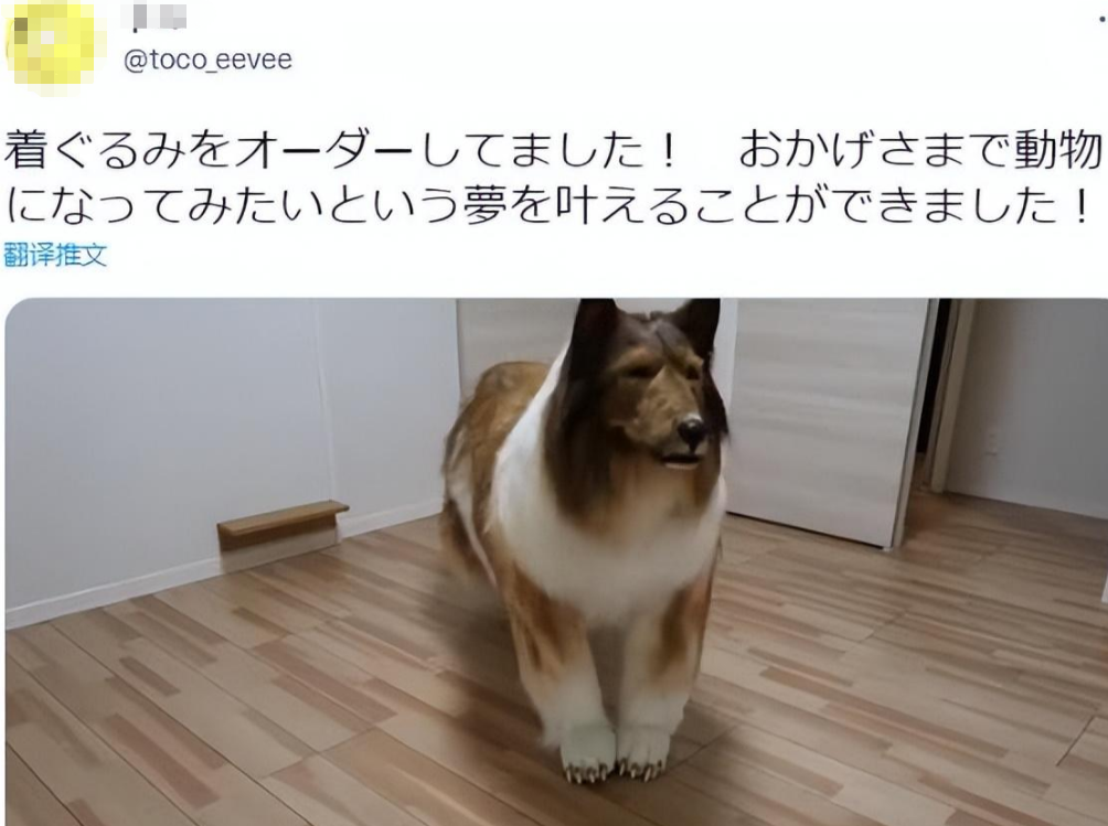 日本男子厌倦当人，怒斥200万将自己变成“狗”，网友：太像了-30万英镑折合人民币多少钱