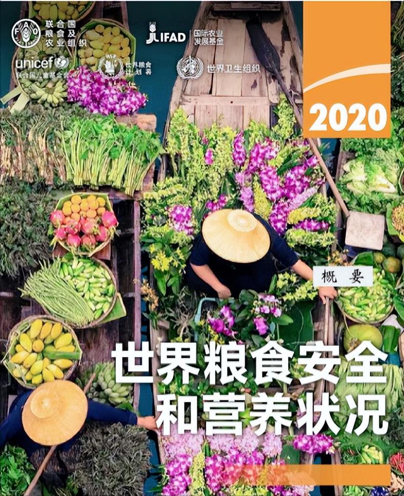 弹丸之地日本，粮食安全指数世界排名前十？神操作中国能借鉴？-日本玉米最高亩产是多少