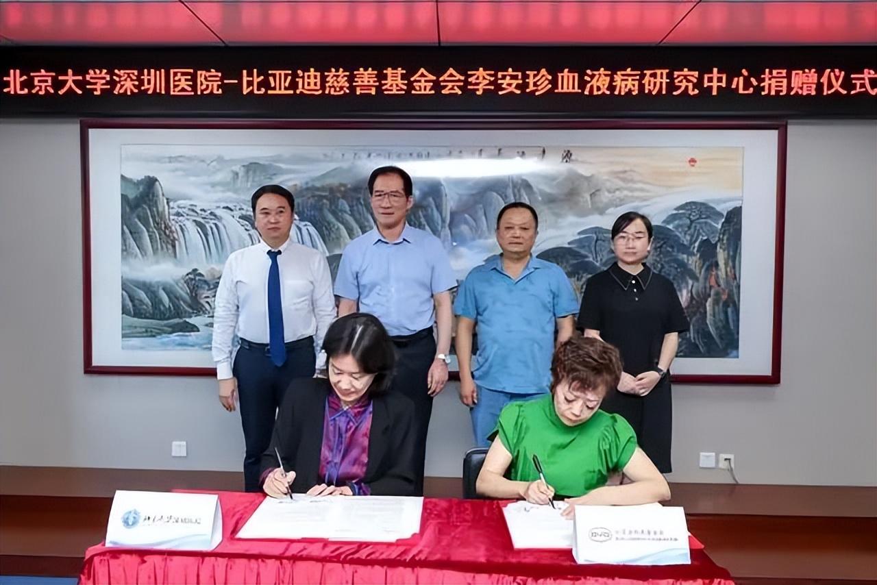 一把捐了1.6亿！比亚迪“最牛女员工”火了，年薪比王传福还高-比亚迪公司李珂