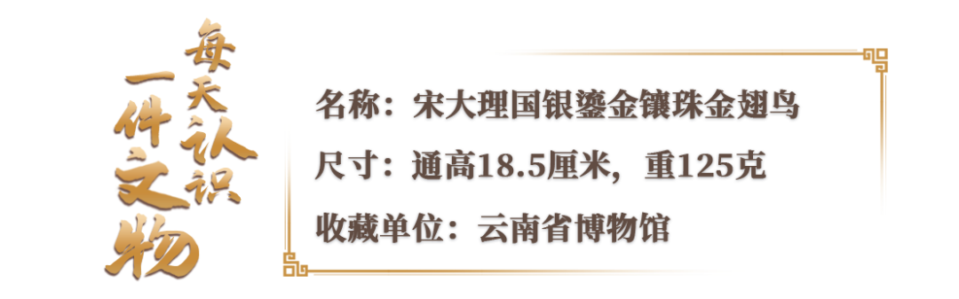 大理的守护神，为何是这只“超凶”的金翅鸟-上海飘鹰展翅置业有限公司