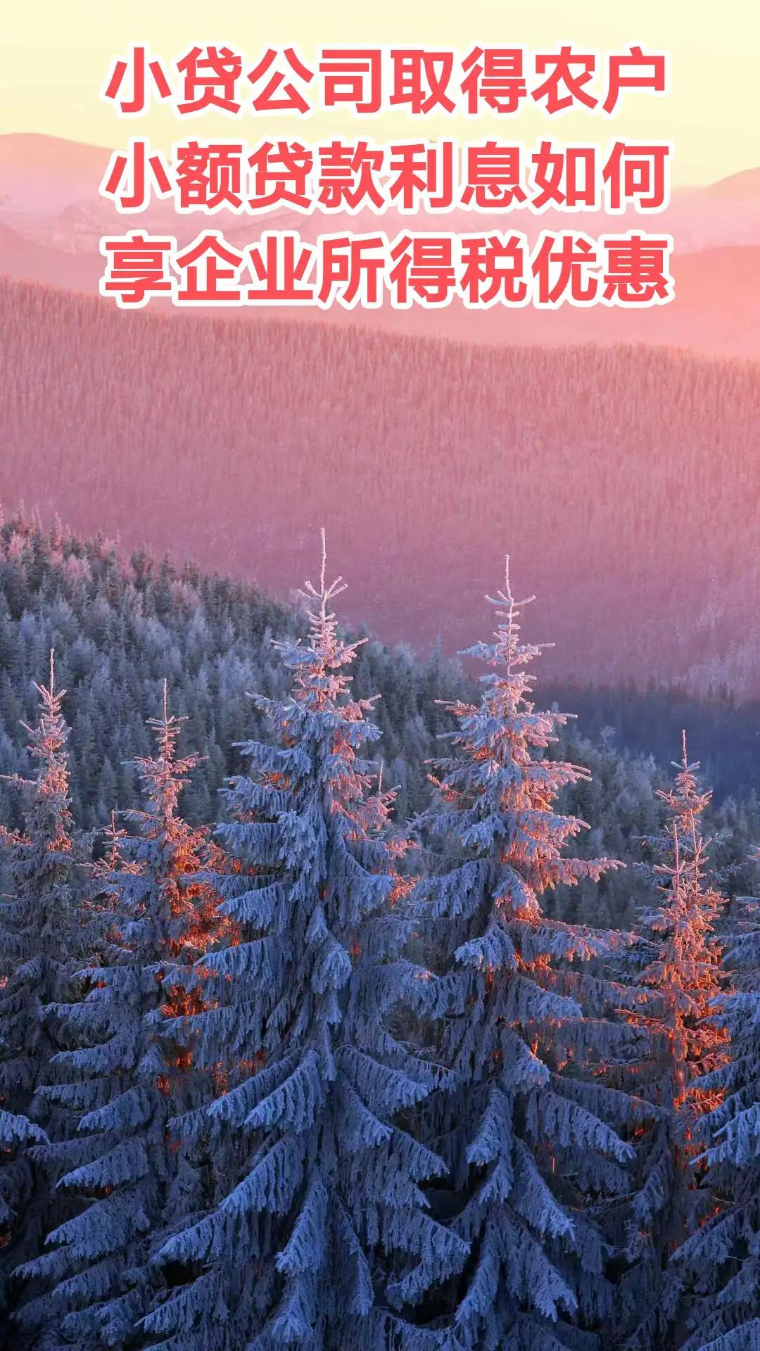 【纳税答疑】小贷公司取得农户小额贷款利息如何享企业所得税优惠-小贷公司所得税