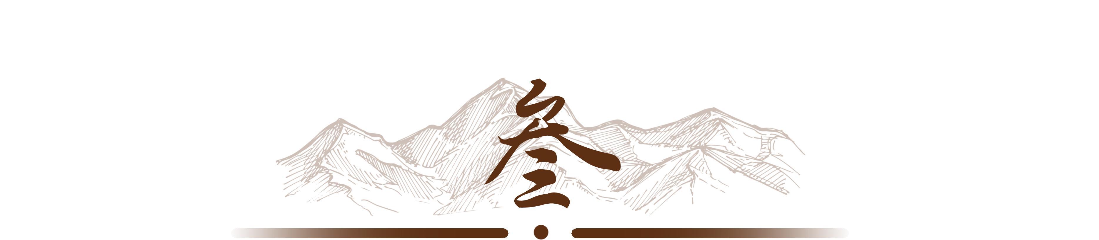 《峥嵘岁月》之当兵絮事（三）-公司领导突然检查