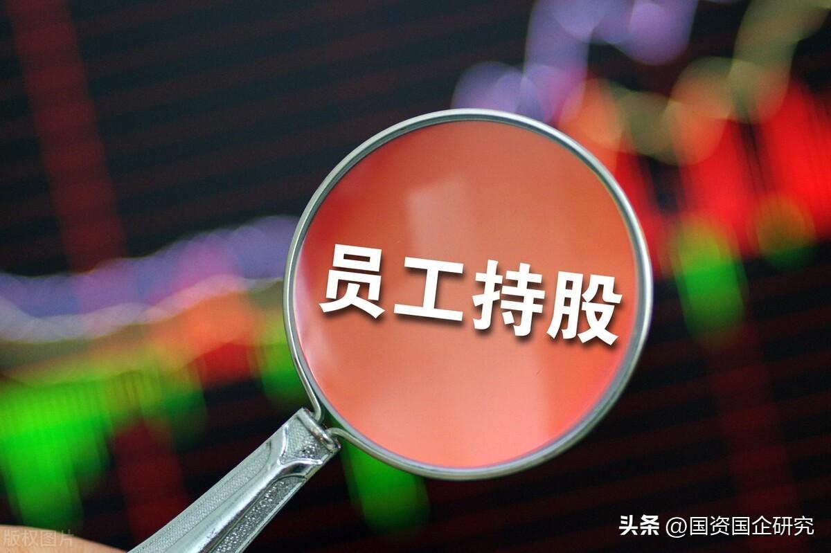 容易出事的国企员工持股——欲练此功必先XX-员工通过公司间接持股