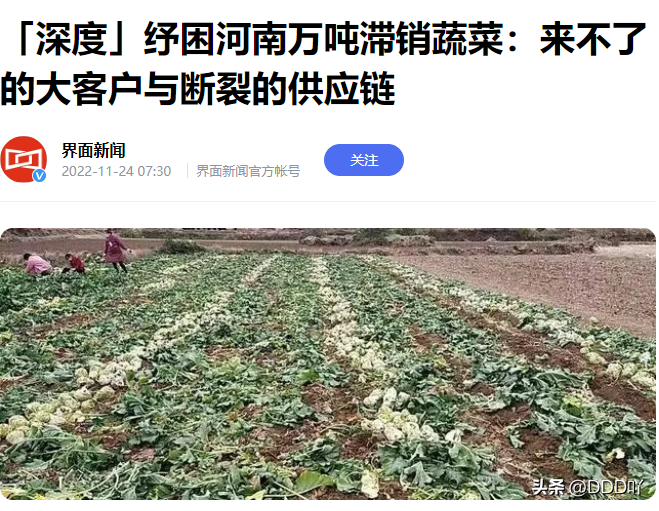 【推荐】利润才1毛1斤，甚至亏本，农民为什么就不能自己批量卖蔬菜？-中菜一般多少钱一样菜
