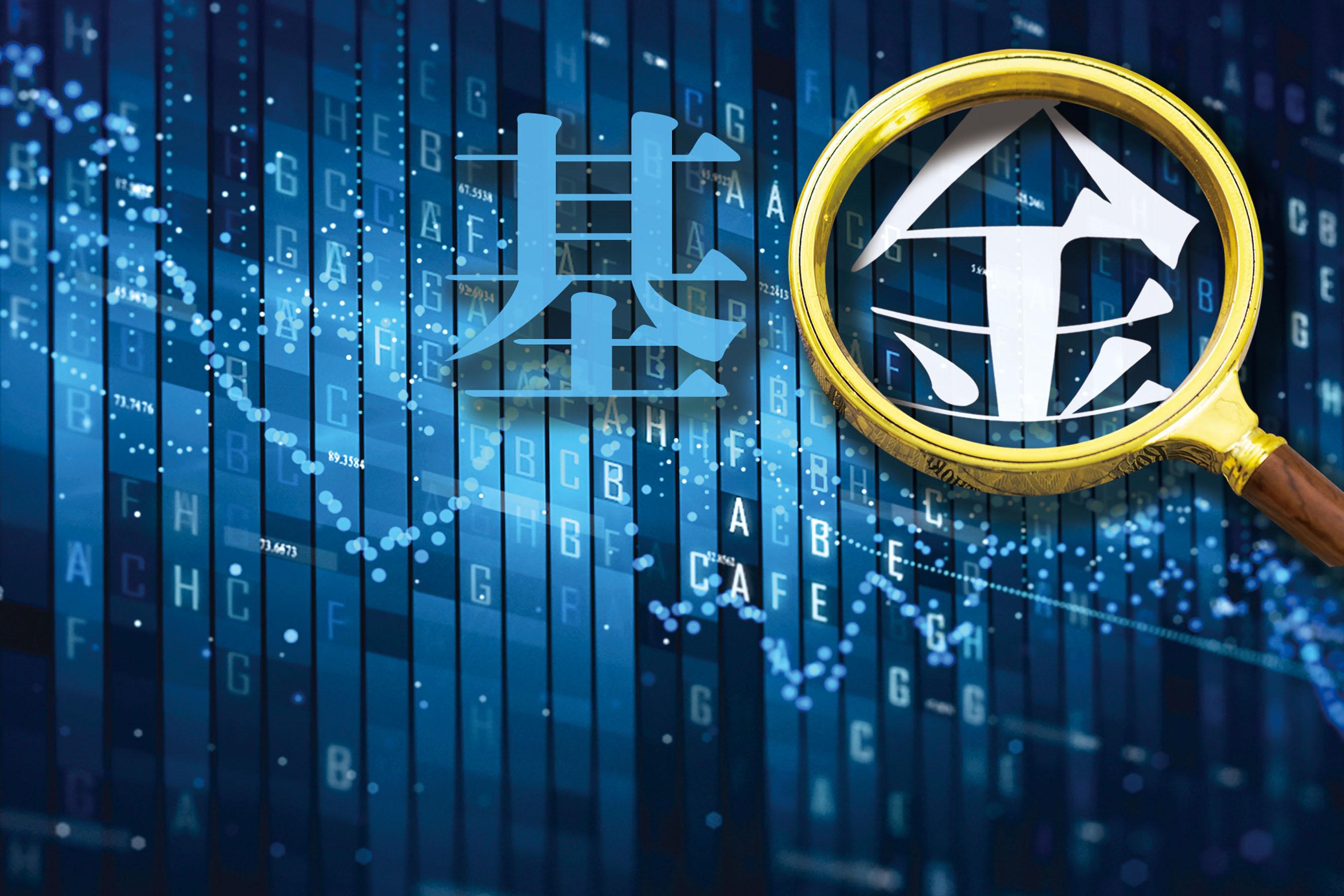 百亿规模级基金产品收益分化-兴全新视野基金