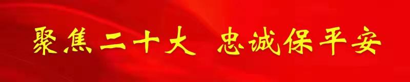 【二十大时光】忠诚担当书写人民满意平安答卷-广元市新光科技有限责任公司