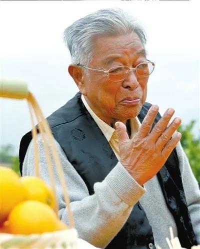 褚时健被判无期，律师马军：他在不该拿钱时，拿了他应该拿的钱-褚橙值多少钱