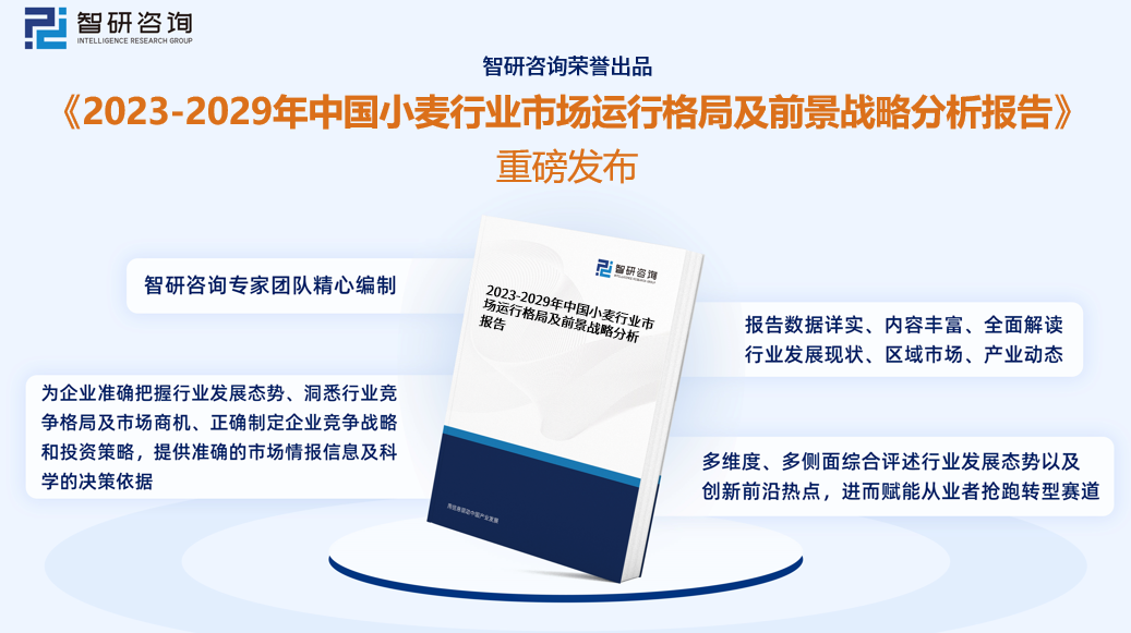 《2023版中国小麦行业市场分析报告》——智研咨询发布-黑龙江北大荒农业股份有限公司年报