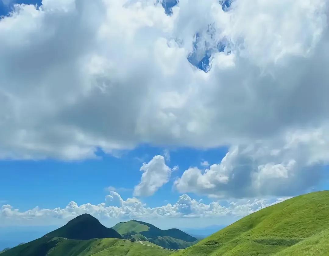 ❤️6.12收评🐬已有“人“在吹集结号了。-股票资讯集结号查询软件