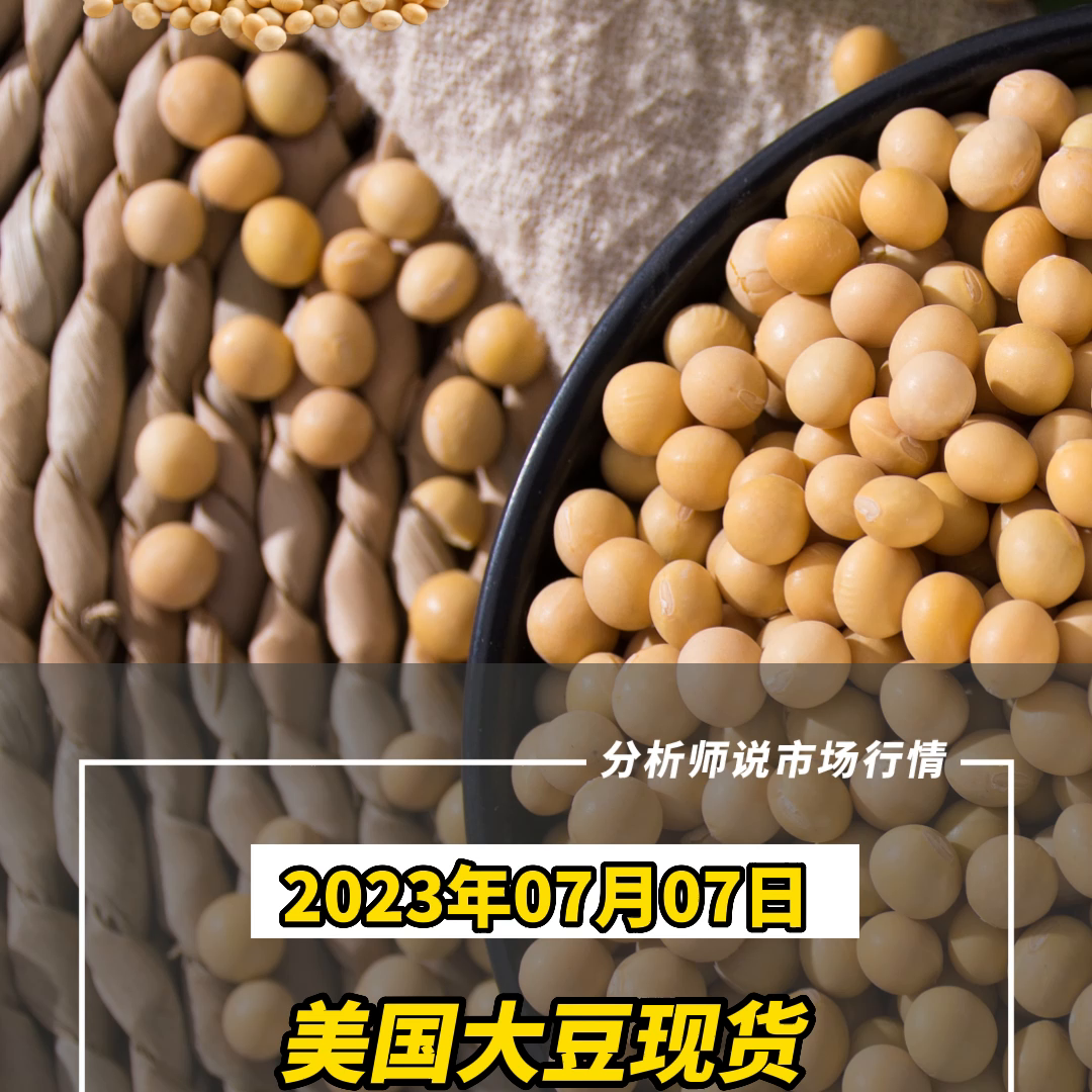 （7.7）美国大豆市场价格下跌#粮油人-美国粮食价格多少钱