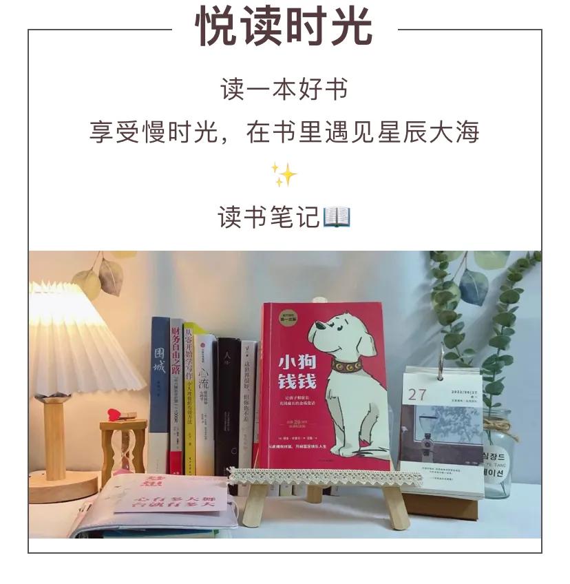 《小狗钱钱》：开启富人思维，实现财务自由-钱钱金融全国多少家