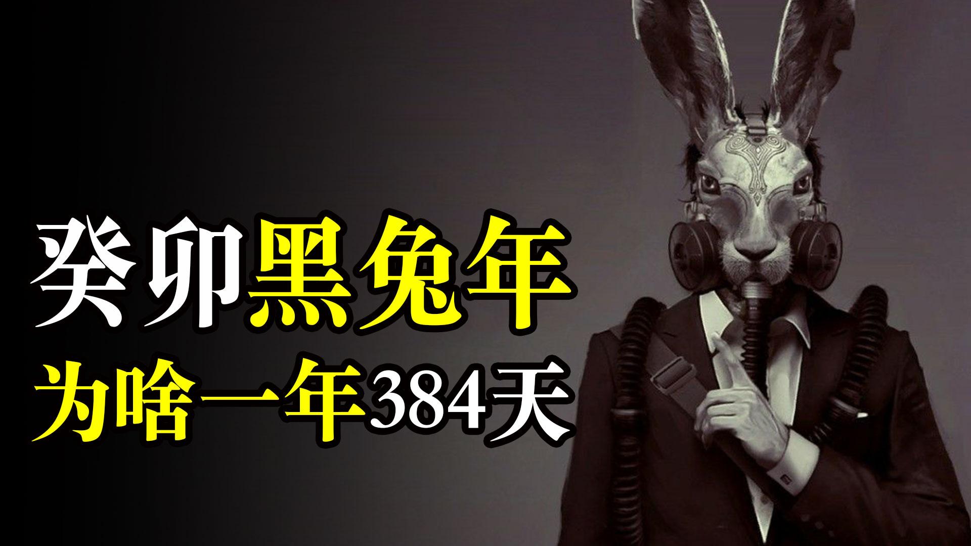 【推荐】2023癸卯黑兔年不一般一年变成了384天原来问题出在这里2004年全年有多少天