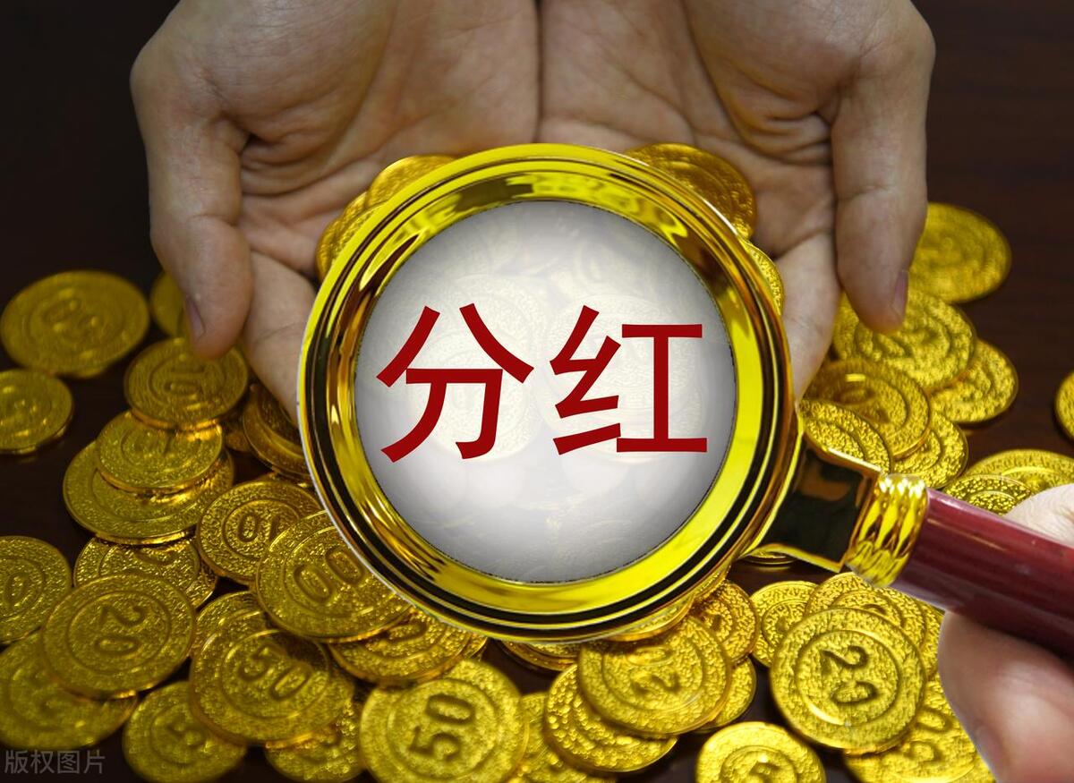 【推荐】公司盈利了还能不分红收益多少用于分红