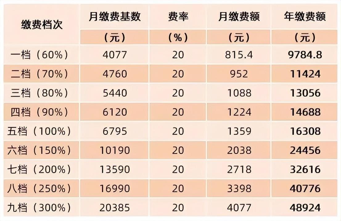 2022灵活就业人员缴费变多，社保最低缴费上涨？需要补缴多少？-补充养老保险交多少
