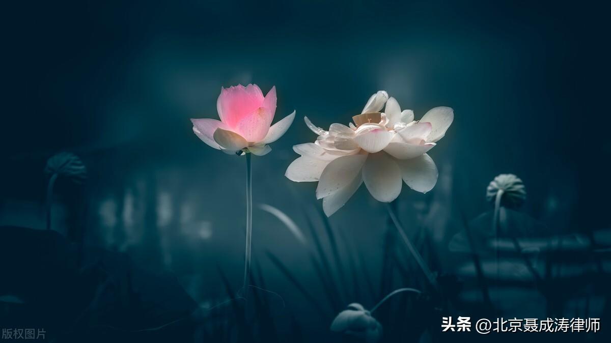 被网上投资骗了怎么办？怎样才能快速追回被骗款项？-怎样应付投资公司骗局