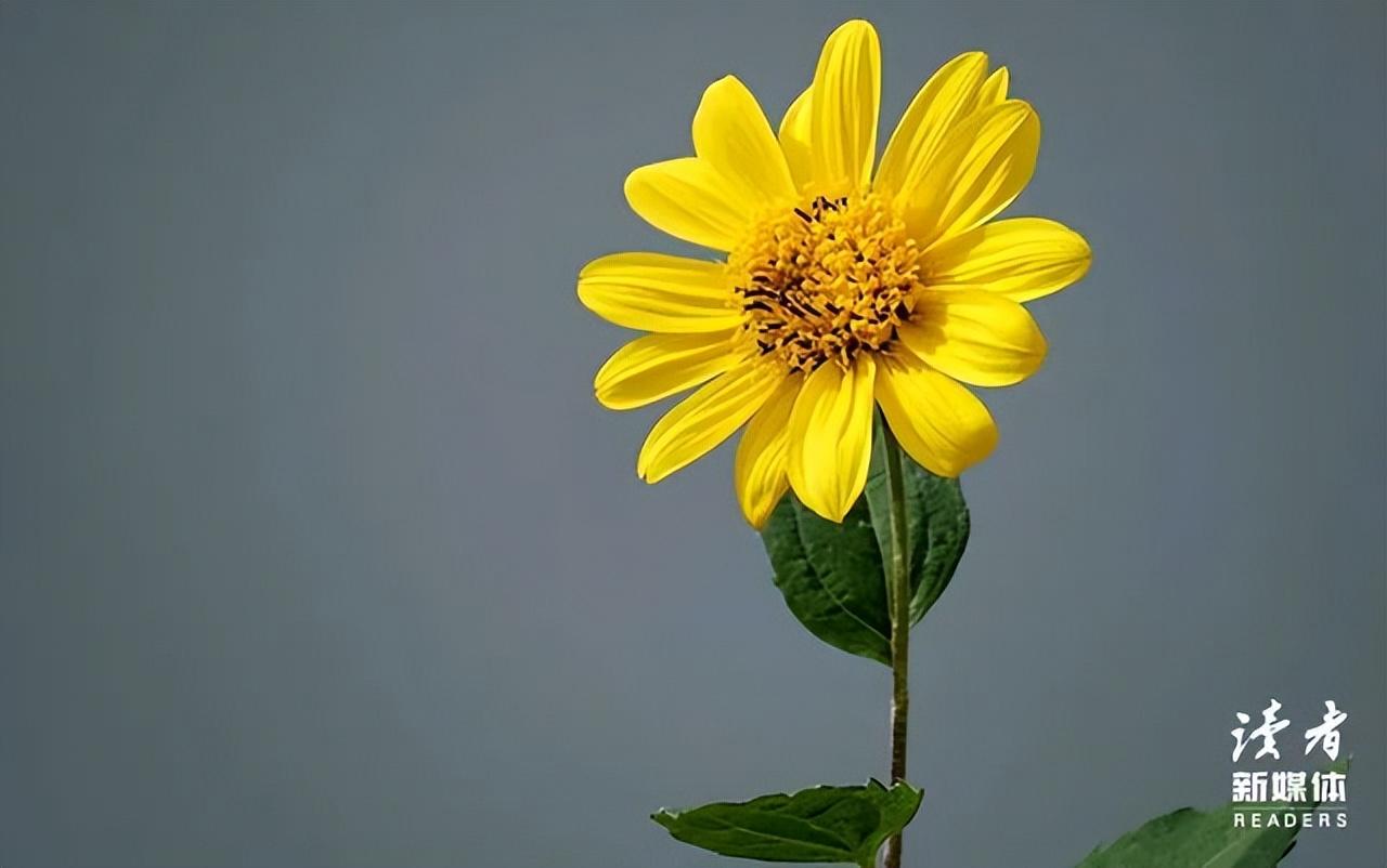 《人生大事》票房破9亿，丈夫看完却对我说：“老婆，这3件事要早做决定”-9亿亿亿元是多少