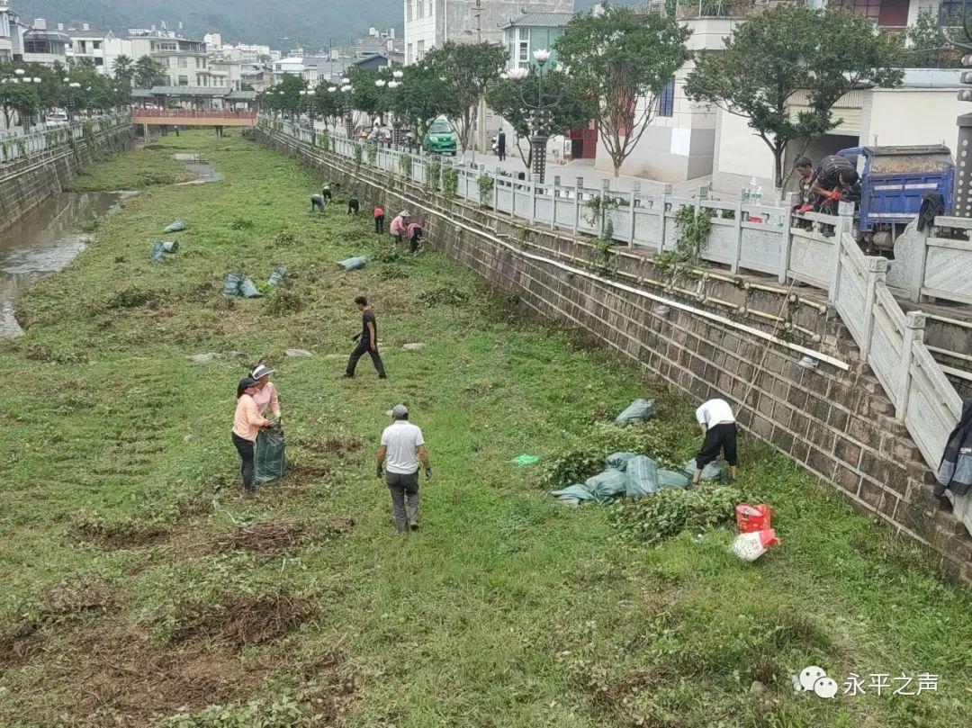 「爱卫专项行动创建卫生县城」“河长清河”行动，为了银江河水清如许-银江分公司乱像