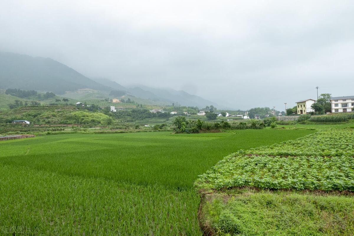 “超常规”用地保障新规出炉，农民的土地要被随便占了吗？-城市土地扩大为多少