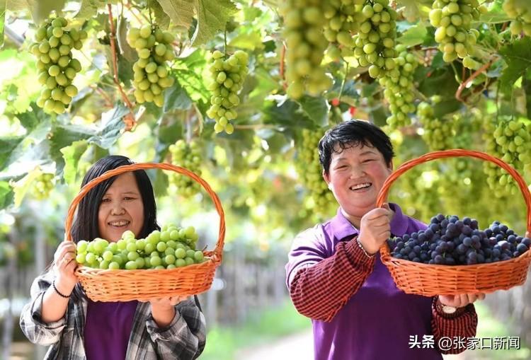 「喜迎二十大」新时代答卷-杭州含德基金